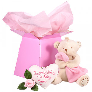 Home › Baby Girl Gifts ›Congratulations Cute Baby Girl Gift Set