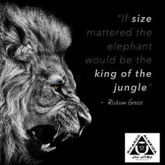 king of the jungle more encourage wisewords quotes king of the jungles ...