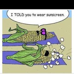 Meanwhile in #Phoenix #AZ #summer ... Two cobs of corn lying on the ...