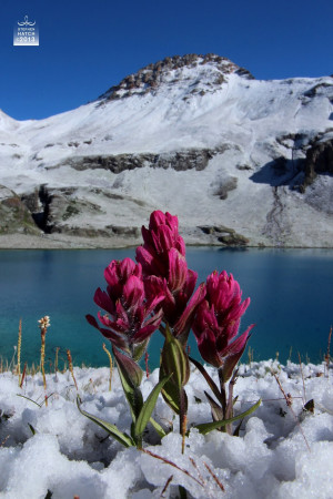 Novelty is a major aspect of Rocky Mountain Spirituality.