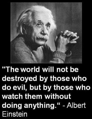 The world will not be destroyed by those who do evil, but by those who ...