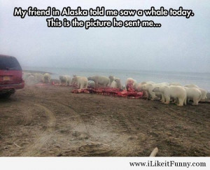 funny baby, funny people, funny pictures, funny quotes, funny sayings ...