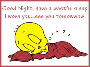 Good Night quotes cute quote night tweety bird goodnight good night ...