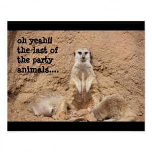 funny meerkat poster, Party Animal!