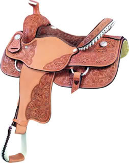 Discuss Anyone own or ride in this saddle? at the Tack & Equipment ...