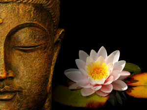 buddha wallpapers photos pictures h2o lily 1024x765 How To Use Your ...