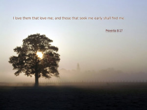 Proverbs 8:17 Papel de Parede Imagem