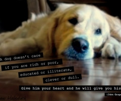 Sweetheart. Follow over 2 years ago