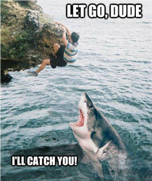 funny shark week catch you