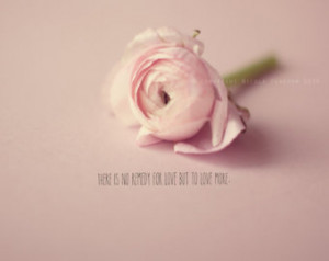 flower quote print - whimsical phot ography, pretty photo, pastel ...
