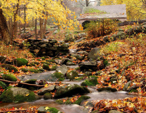 It’s all about the 50 States of America .