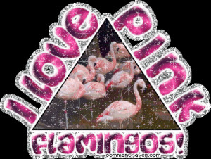 Love Animals Comments Glitter Pictures, Images, Graphics, Comments ...