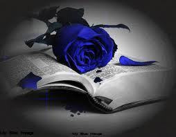 Blue rose - poetry Photo
