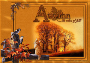 Fall animated comments, autumn animated graphics codes, fall glitter ...