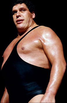not exactly skyrim giant but the next best thing andre the giant 7 4 ...