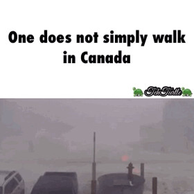 Funny Canadian Quotes