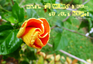 Where Flowers Bloom So Does Hope ” - Lady Bird Johnson ~ Nature ...