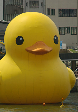 flashing rubber duckies