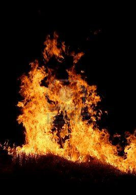 Beachcombing quotes here from about half way through the surviving ...