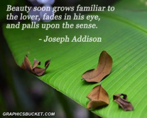 ... to the lover,fades in his Eye and palls upon the sence ~ Beauty Quote