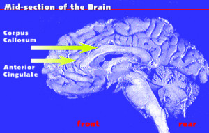 First Look at 'GOTG' Action Figures
