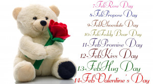 Happy Teddy Bear Day Quotes SMS Wallpapers free Download
