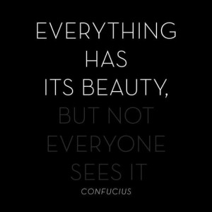 Everything has its beauty, but not everyone sees it” Confucius