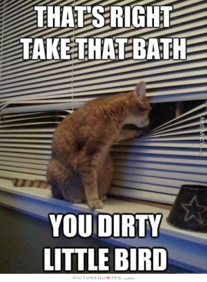 That's right, take a bath you dirty little bird. Picture Quote #1