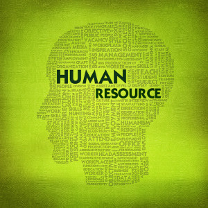 Top 3 Human Resources Blogs to Watch in 2013