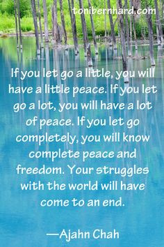 Thai forest monk and teacher, Ajahn Chah I've always loved this quote ...