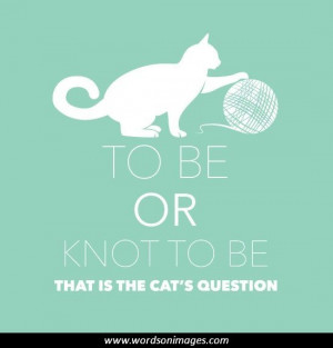 Marilyn monroe quotes celebrity quotes