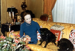 The Duchess in Paris with her pugs, shortly before her collapse in ...