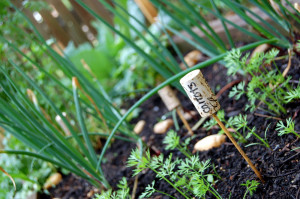 in the open space: God & culture