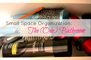 Small space organization: the bathroom