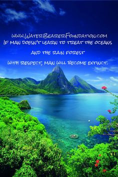 quotes beach quotes rainforest quotes Protect our earth http www