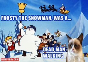 grumpy-cat-frosty-the-snowman-was-a-dead-man-walking1-620x434.jpg