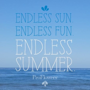 endless summer #quote by lacey