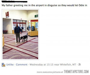 Funny photos funny blind man dog