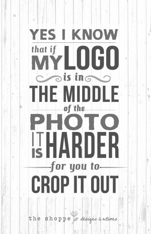 Sarcastic Quotes that pinches photographers (4)