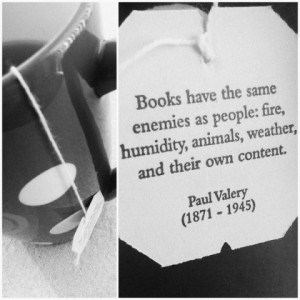 Books have the same enemies as people: fire, humidity, animals ...