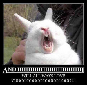 funny singing rabbit