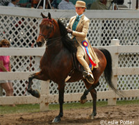Discuss Saddle Seat vs. Hunt seat? at the Equestrian Events, Shows ...