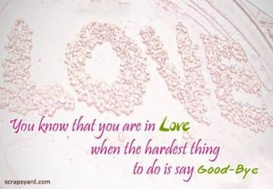 know-that-you-are-in-love-when-the-hardest-thing-to-do-is-say-good-bye ...