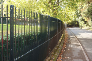 Steel fencing and railings
