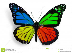 True Butterfly With Fantasy