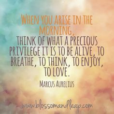 when you arise in the morning think of what a precious privilege it is ...