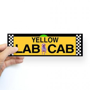 Yellow Lab Cab Bumper Bumper Sticker on