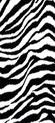 is for zebra zebra s have black and white stripes