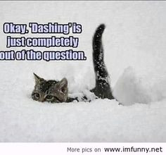 hate this snow! | Funny Pictures, Funny Quotes – Photos, Quotes ...