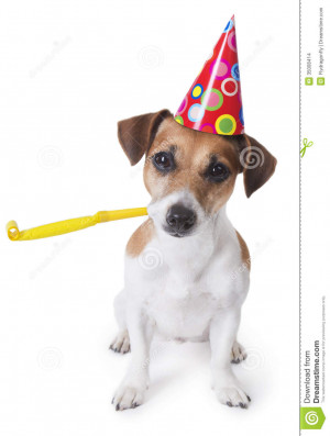 Cute dog in red party hat Designed colored circles with yellow party ...